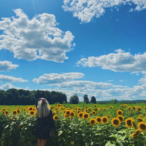 Meet your Posher, Anna - Picture 2 of 2